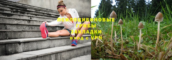 прущая мука Алексеевка