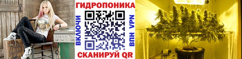 Каннабис SATIVA & INDICA  Ялта 